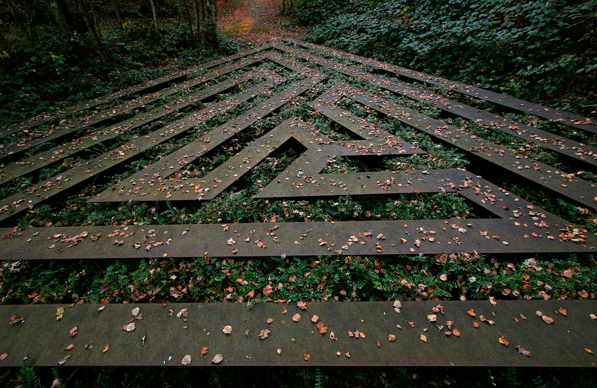 Lost labyrinth
